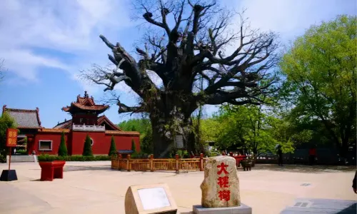 洪洞大槐樹尋根祭祖園