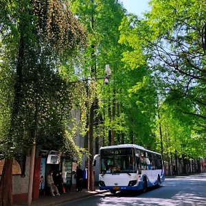 甜愛路