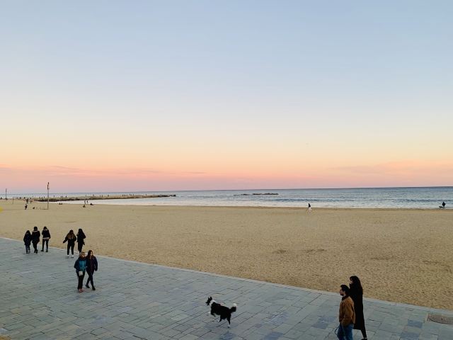 巴塞羅那塔海灘