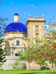 Museum der Schönen Künste von Valencia