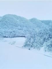 湖南東山峰雲頂滑雪場