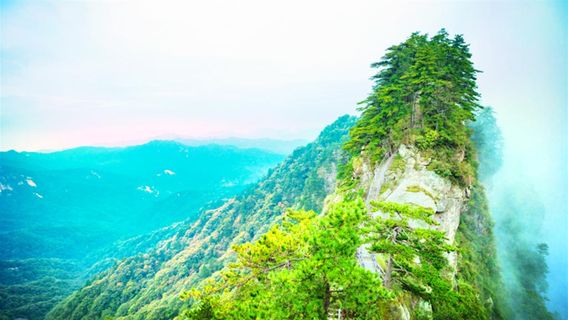 Baotianman Ecological Tourism Area