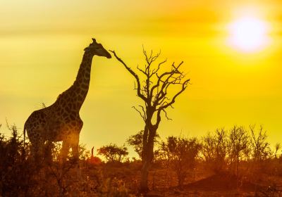 Parc national Kruger