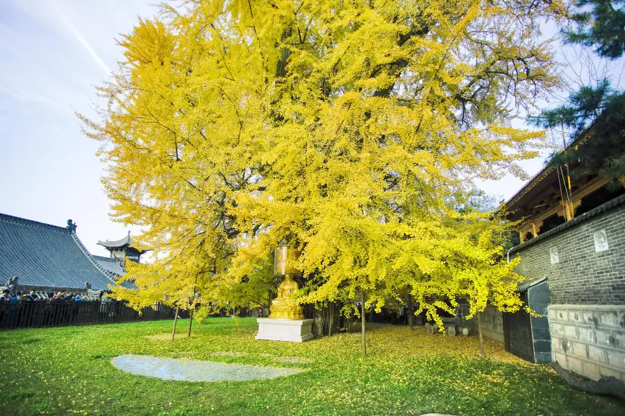 Guguanyinchan Temple