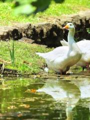 バーミンガム動物園