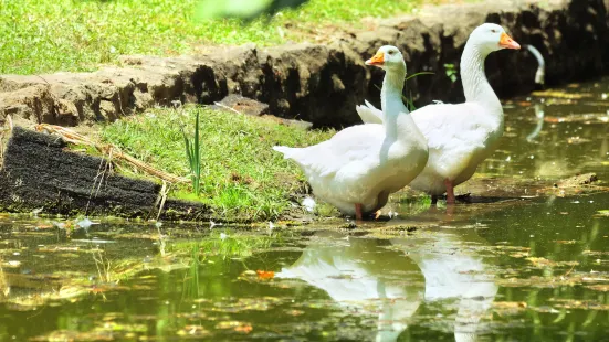 バーミンガム動物園