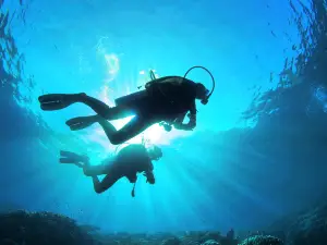慶良間諸島潛水