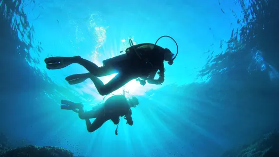 Diving In Kerama Shotō National Park