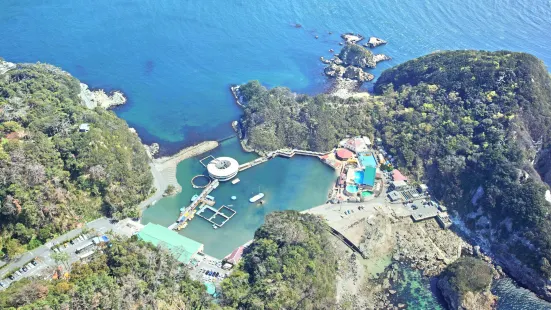 下田海中水族館