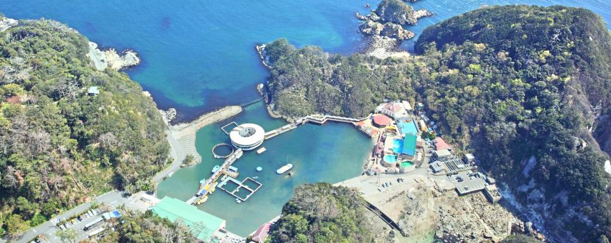 Shimoda Underwater Aquarium