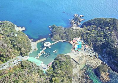 Shimoda Underwater Aquarium