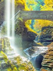 Parque estatal de Watkins Glen