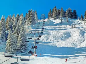 神立滑雪場