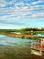 桑乾河國家濕地公園