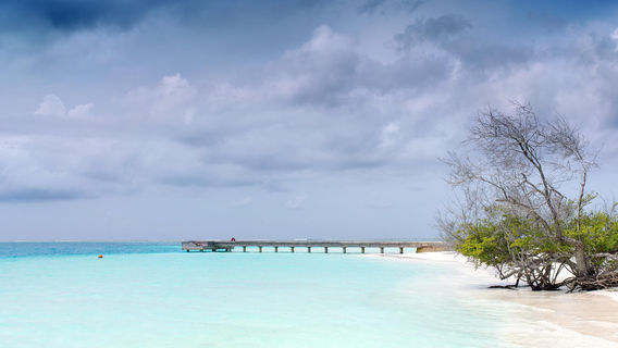Dhigurah