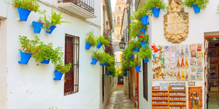 Calleja de las Flores