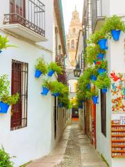 Calleja de las Flores