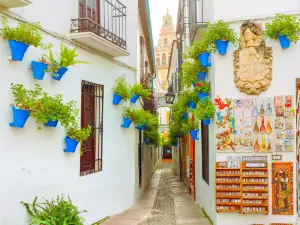 Calleja de las Flores