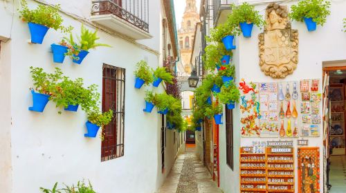 Calleja de las Flores