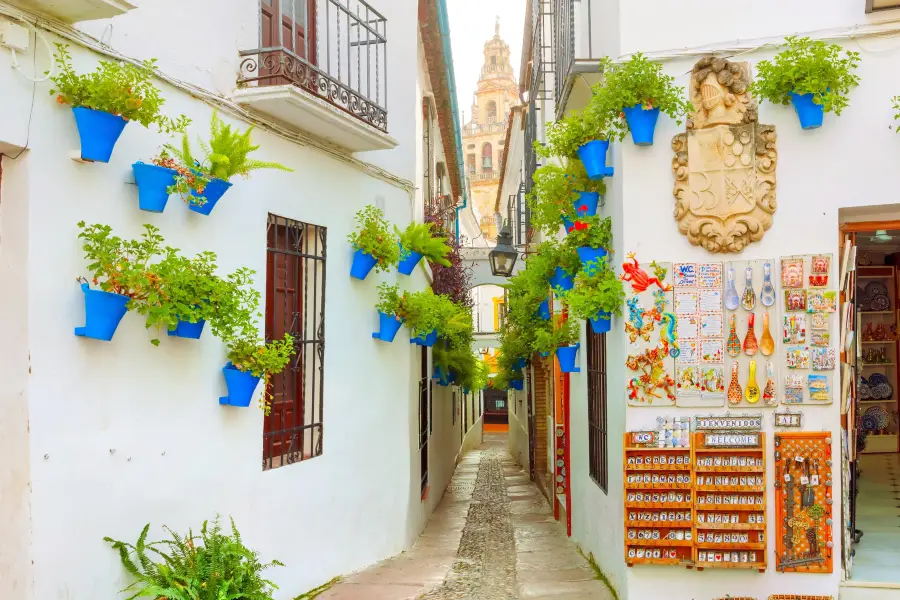 Calleja de las Flores