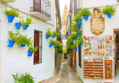 Calleja de las Flores