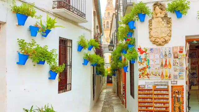 Hotels near Calleja de las Flores