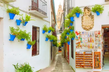 Calleja de las Flores Hotel a Cordoba