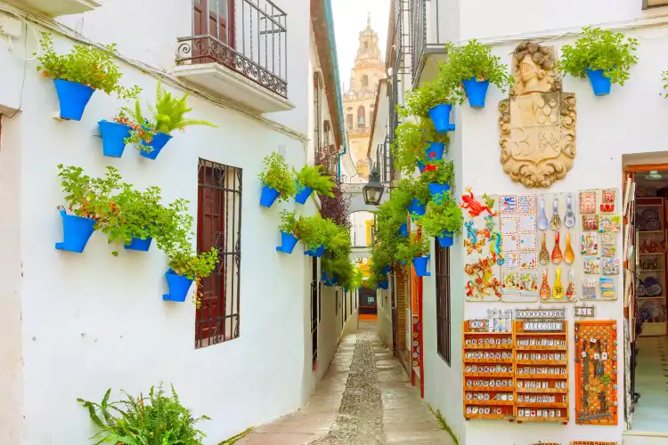Các khách sạn gần Calleja de las Flores