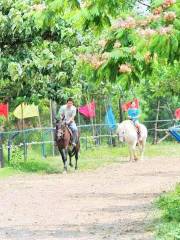 Xiaxian Horse Riding Field