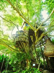 Pai Treehouse Resort