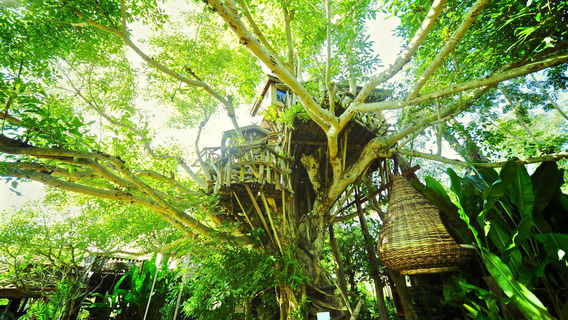 Pai Treehouse Resort