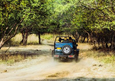 Ranthambore National Park