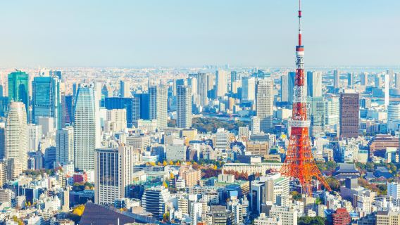 東京+成田國際機場【可輔助協助辦入住+普通話司機+接機/送機服務】