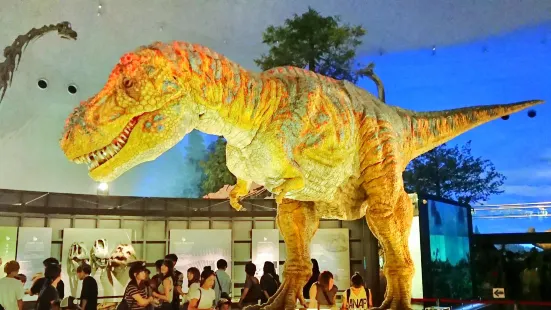 พิพิธภัณฑ์ไดโนเสาร์จังหวัดฟุกุอิ
