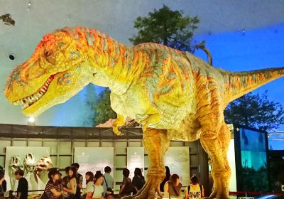 พิพิธภัณฑ์ไดโนเสาร์จังหวัดฟุกุอิ