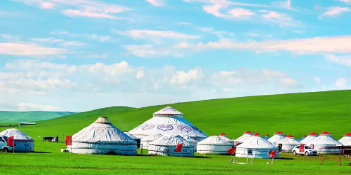 呼倫貝爾大草原