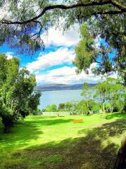 Real Jardín Botánico de Tasmania