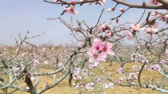 劉台桃花源風景區