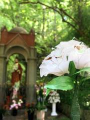 서산 국립산림공원