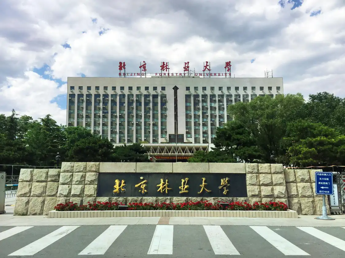 Hotels near Beijing Forestry University