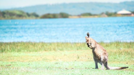 Tasmania Zoo