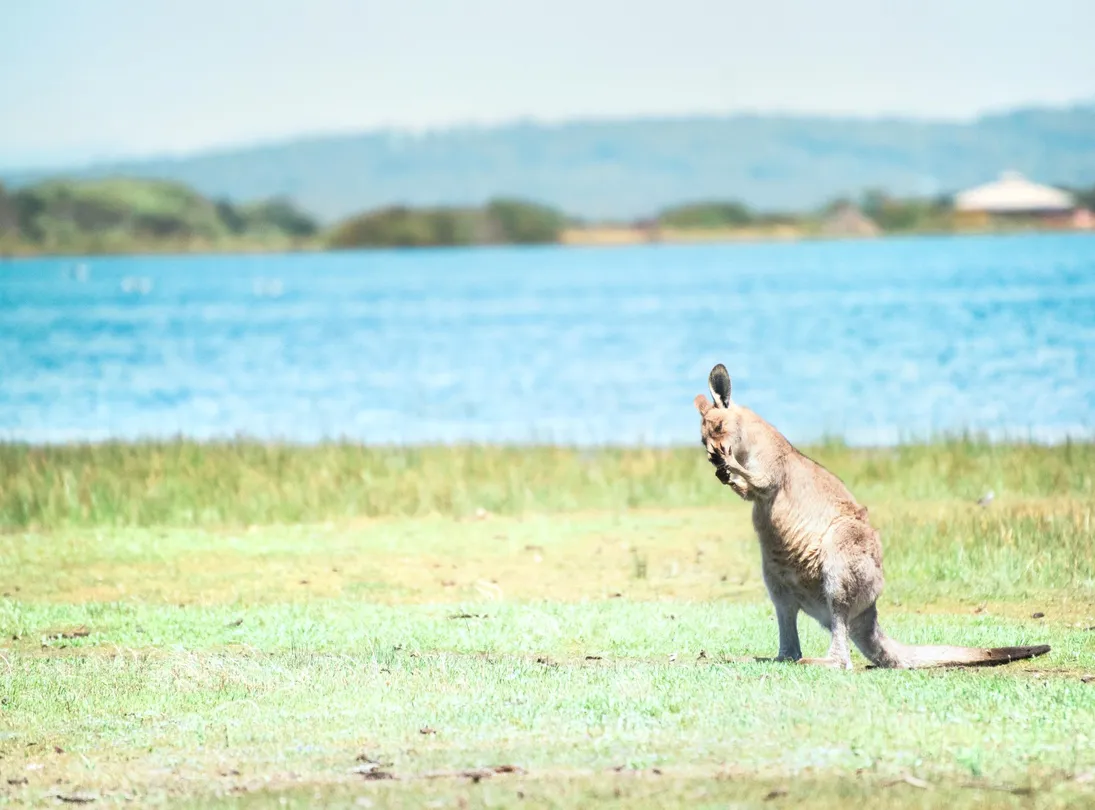 1_塔斯馬尼亞動物園
