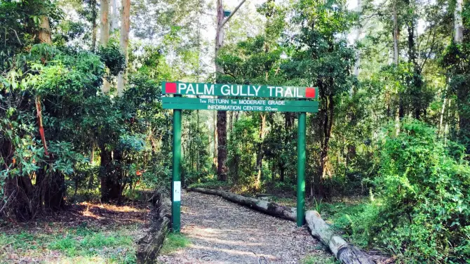 Cumberland State Forest