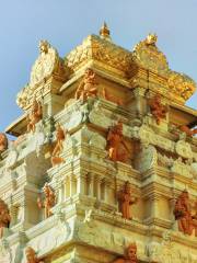 Sri Senpaga Vinayagar Temple