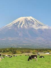 朝霧高原