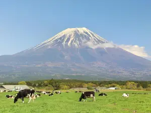 朝霧高原 道之站