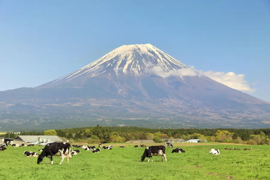 朝霧高原 道之站