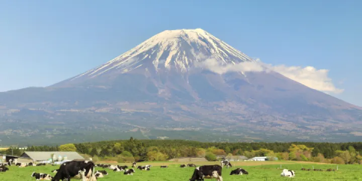 道之驛朝霧高原
