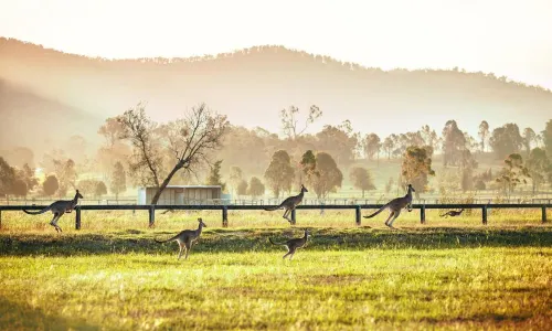 Hunter Region