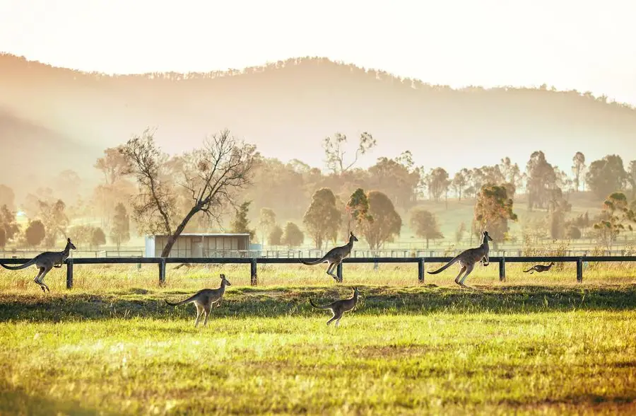 Hunter Region